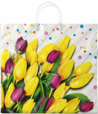 Пакет с пластиковой ручкой 38х35