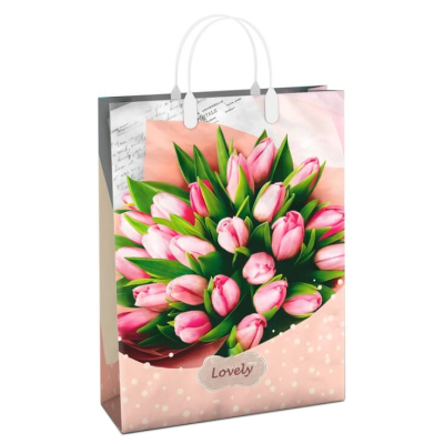 Сум. пластик мягкий больш. L (42х32х10)